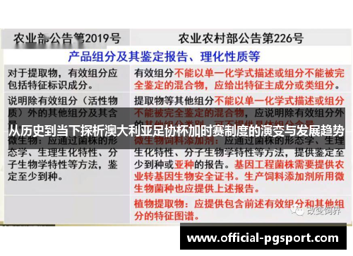 从历史到当下探析澳大利亚足协杯加时赛制度的演变与发展趋势 从历史到当下探析澳大利亚足协杯加时赛制度的演变与发展趋势