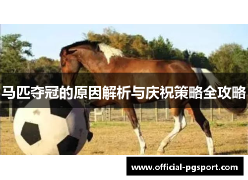 马匹夺冠的原因解析与庆祝策略全攻略